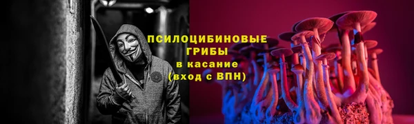 2c-b Богородицк