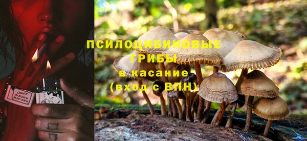 альфа пвп Верхнеуральск