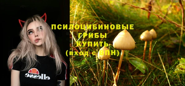 трава Бугульма