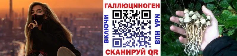 Купить где  Новосокольники  Псилоцибиновые грибы MAGIC MUSHROOMS 